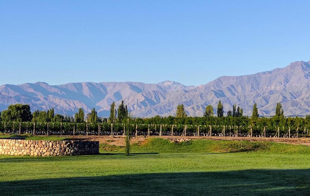 a field with trees and mountains in the background at Dobe Lodge in Vista Flores