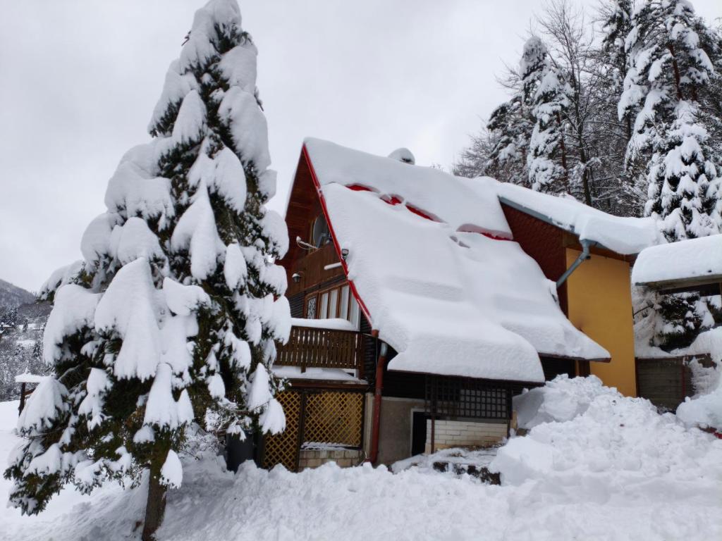 a house covered in snow next to a tree at Chata Tatranec in Poráč