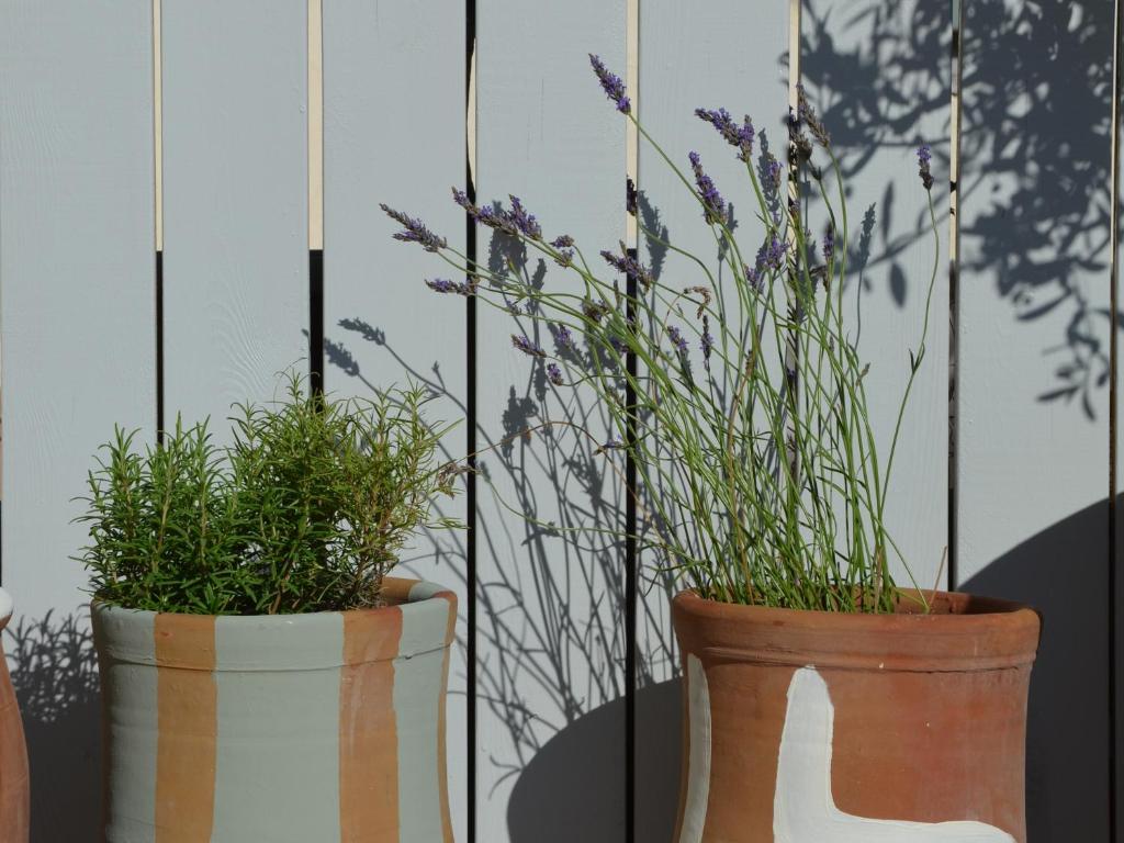 Hotel M Soleil - Montpellier Centre Saint Roch - 10