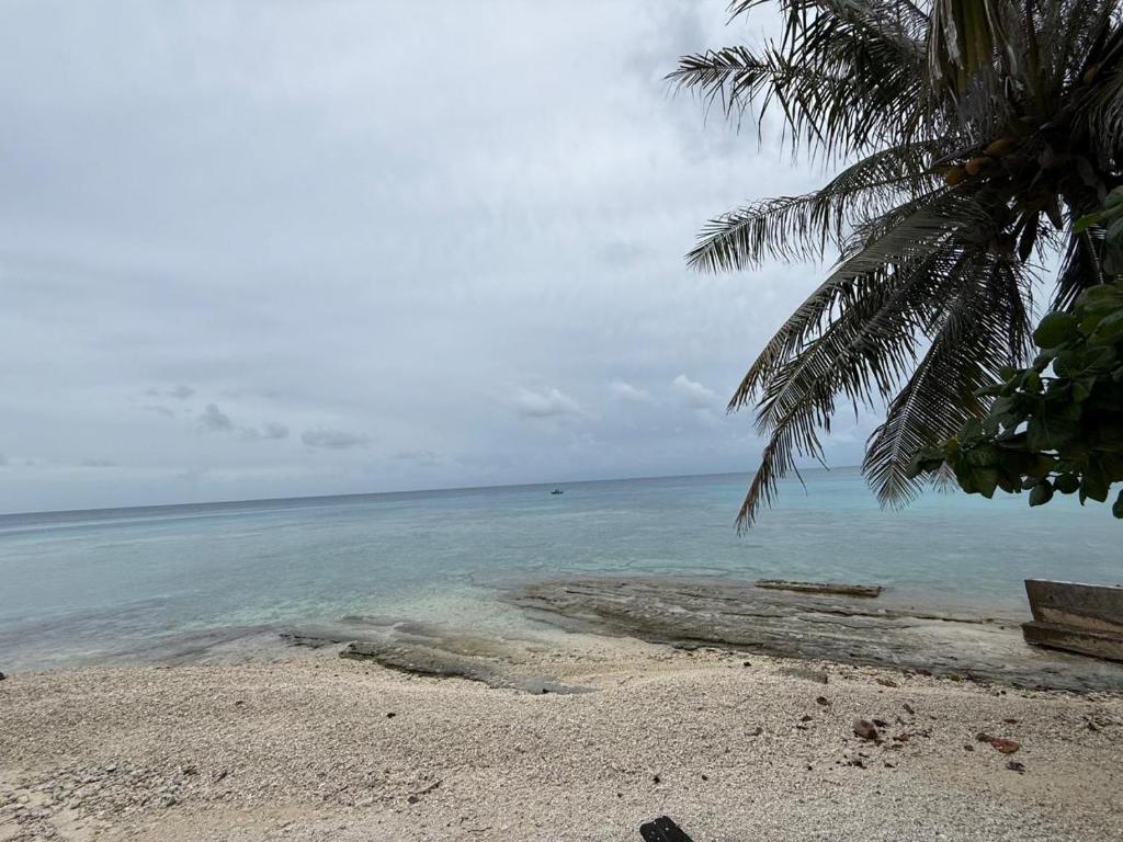 Chez Aroro Beach House - photo 11 - Rangiroa, Polynésie