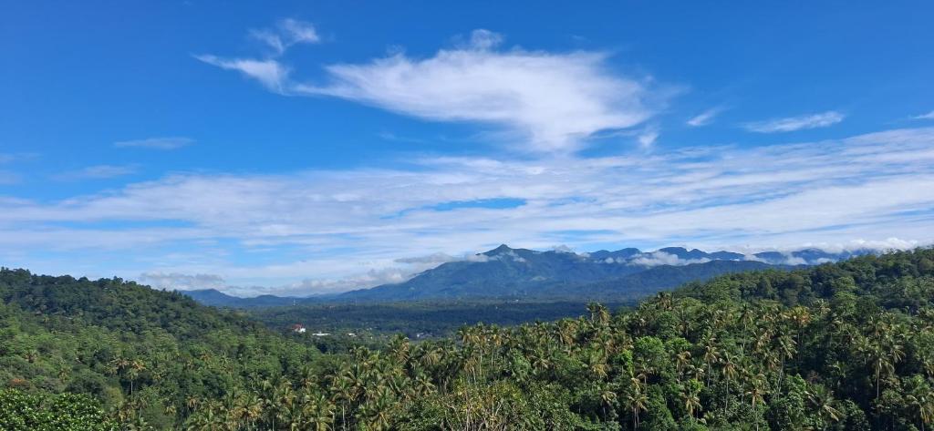 een uitzicht op een vallei met bergen en bomen bij mountain retreat villa in Kandy