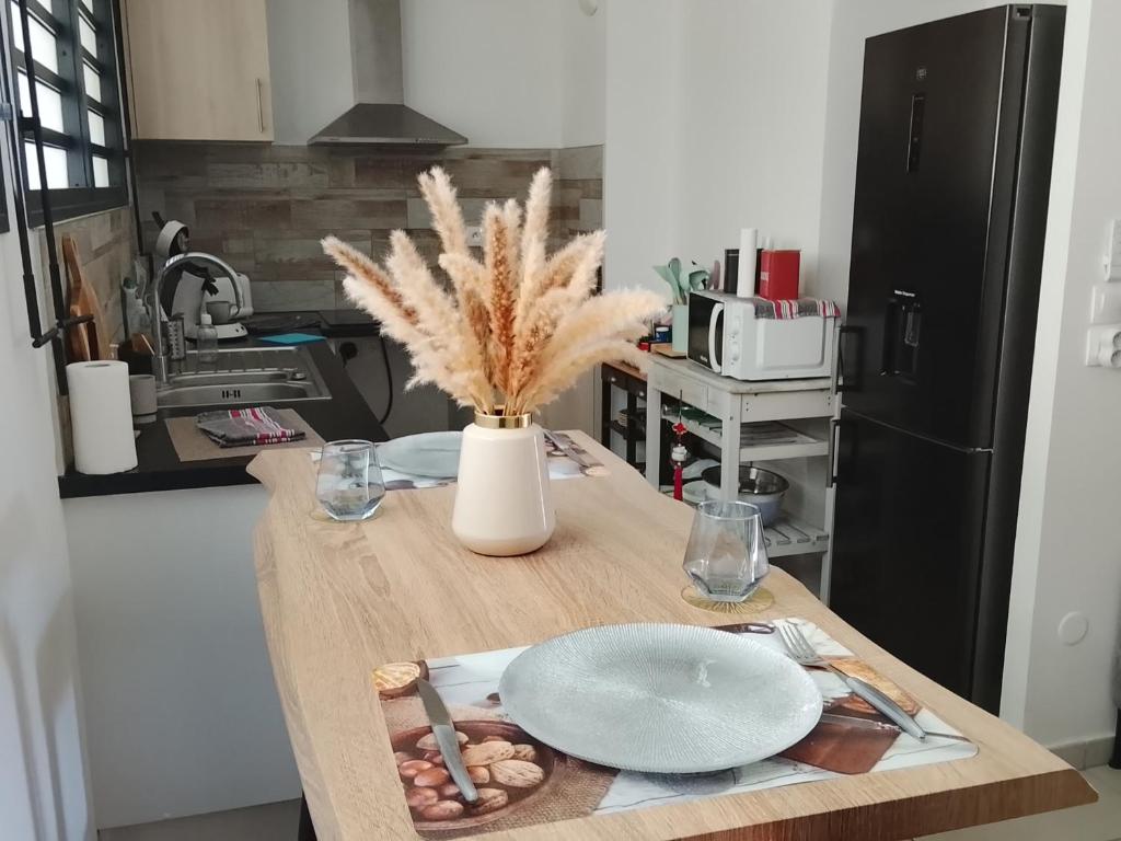 Η κουζίνα ή μικρή κουζίνα στο T2 quartier résidentiel la plaine st- Paul