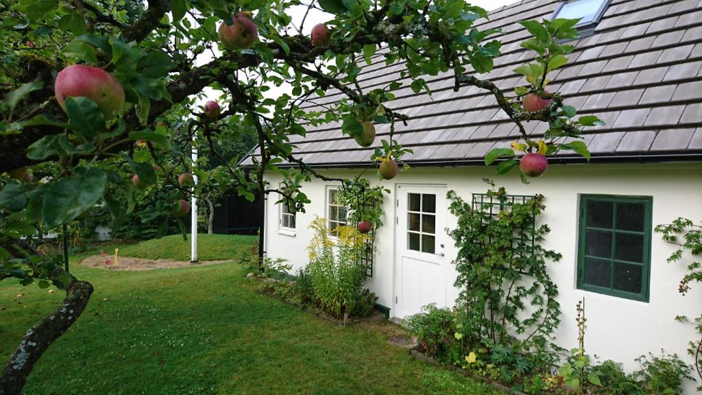a white house with an apple tree in the yard at Lillan in  Torna Hällestad