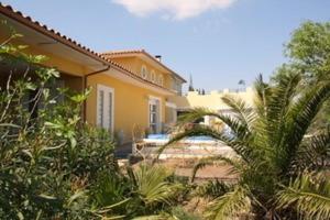 a house with a palm tree in front of it at La croisée des chemins in Calvisson