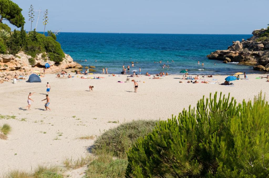 Príroda v okolí apartmánu