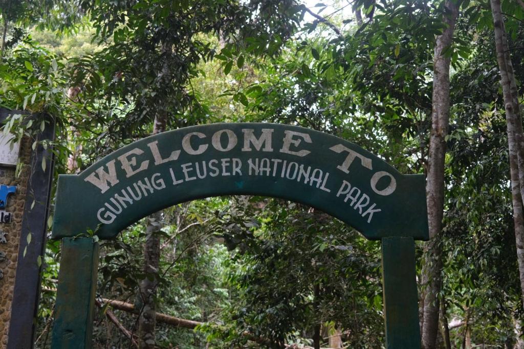 Φωτογραφία από το άλμπουμ του BACKPACKER LODGE Trekking & Transport σε Bukit Lawang