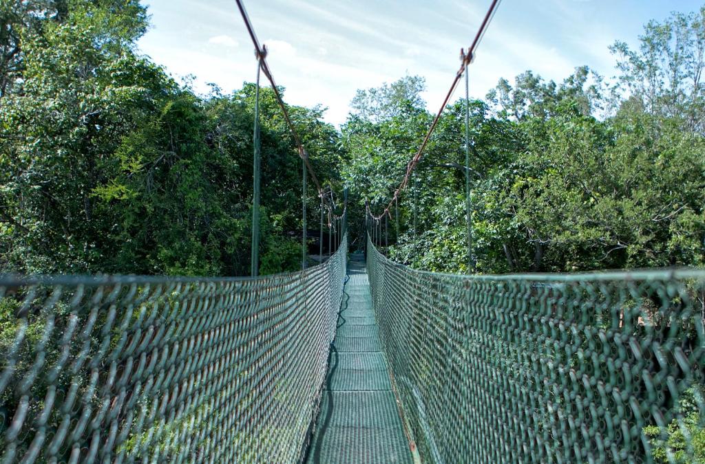 Fotografie z fotogalerie ubytování Cañon de la Vieja Lodge v destinaci Liberia