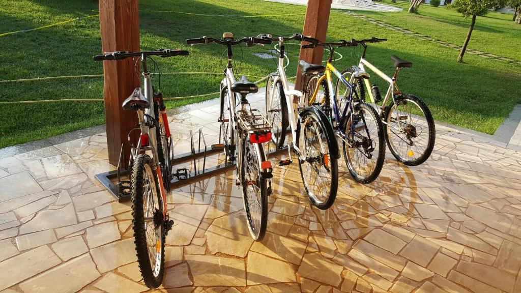 Jízda na kole v ubytování Santa Maria Resort nebo okolí