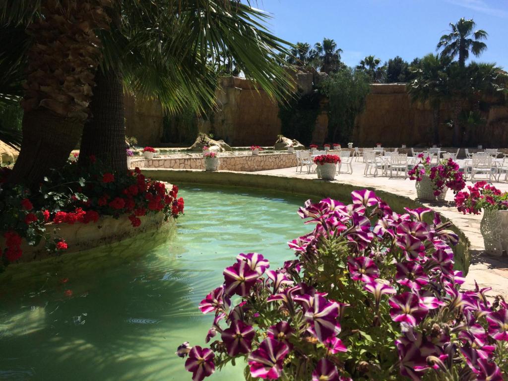 Zahrada ubytování Hotel Parco dei Principi