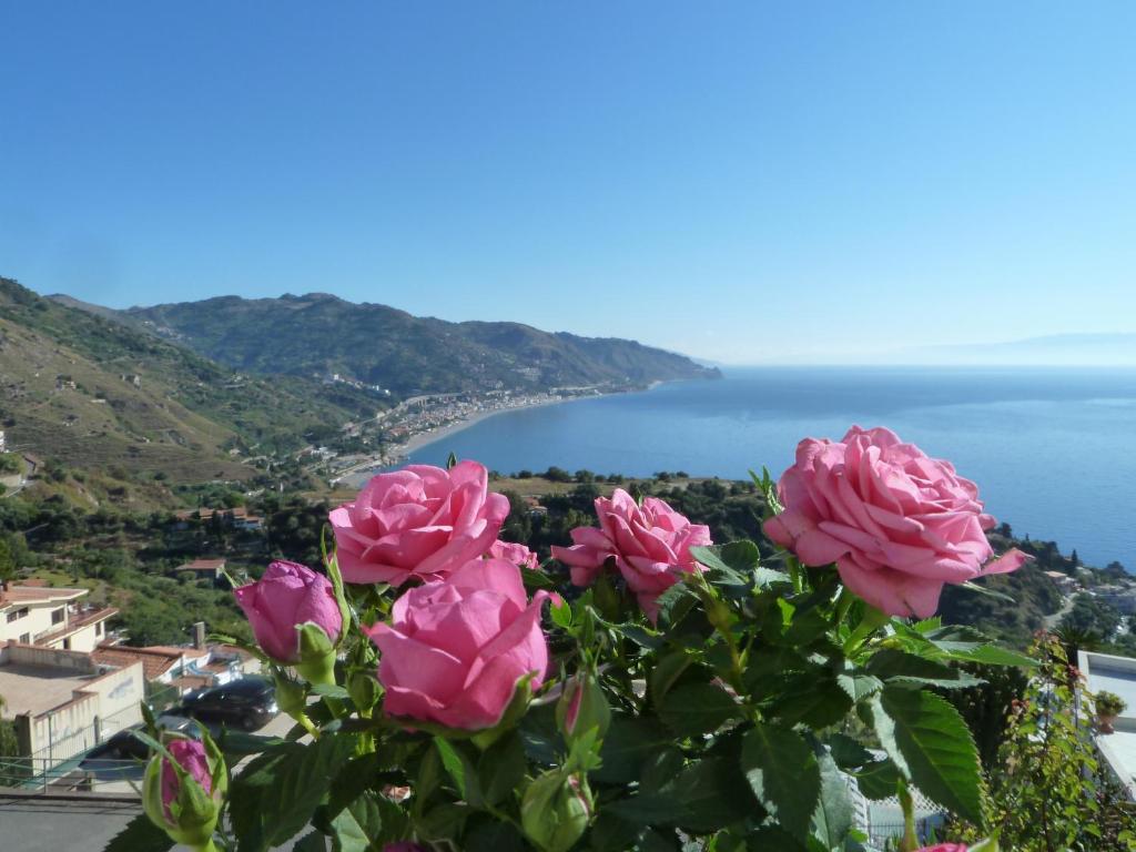 a bouquet of pink roses on a view of the ocean at Blue Sky House in Taormina