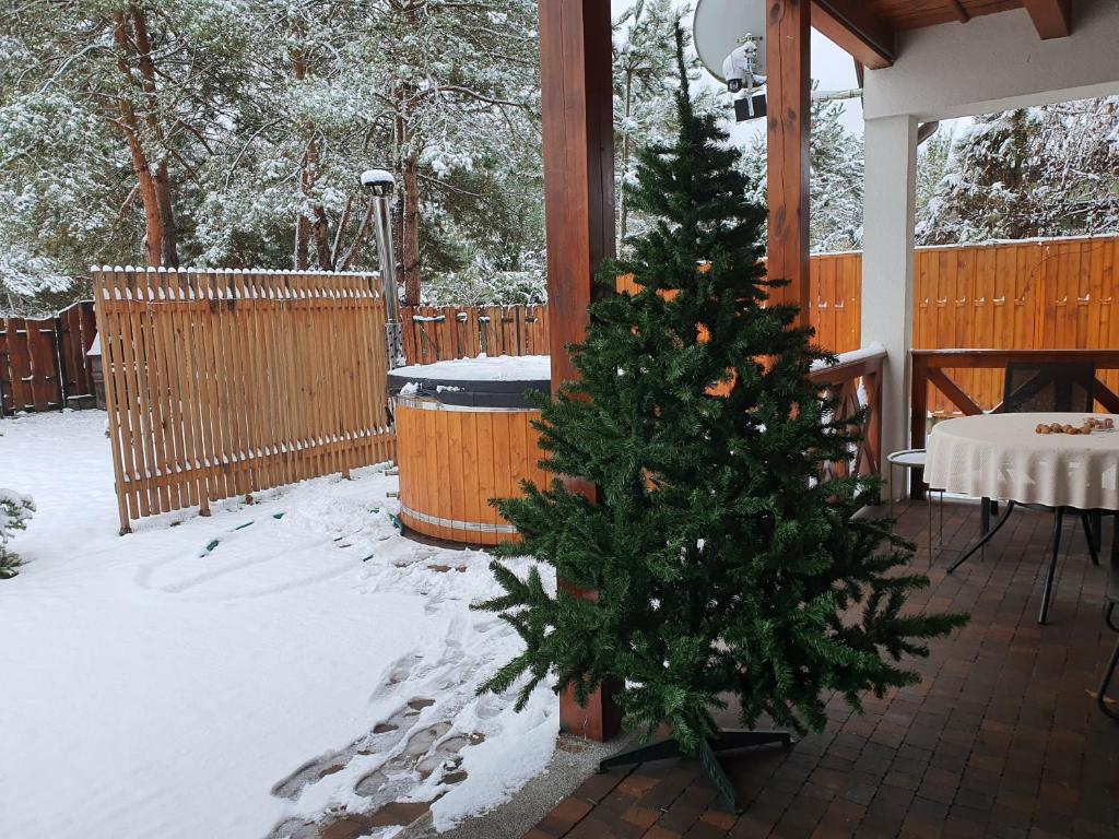 Dom Rodzinny w Okunince Willa Deluxe v zimě