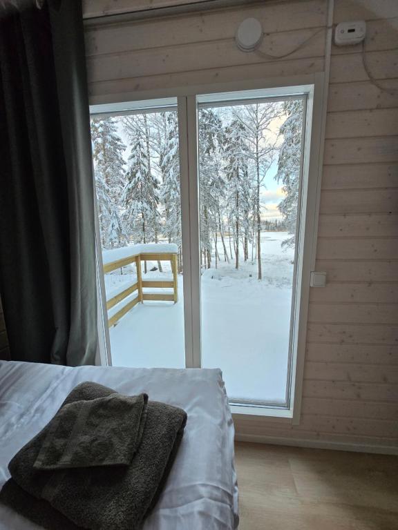 Stuga med strandbastu v zimě