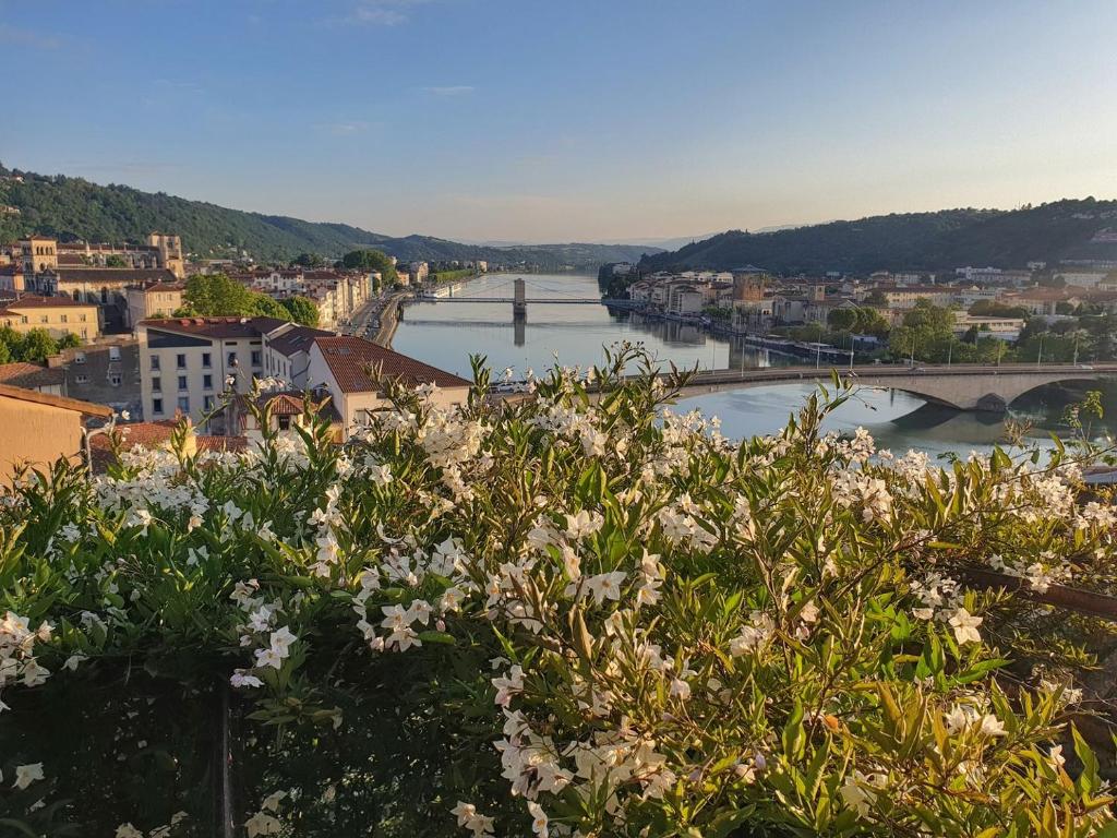 a view of a river with a bridge and flowers at La Bâtie - Vue imprenable - Amazing view - Parking privé in Vienne