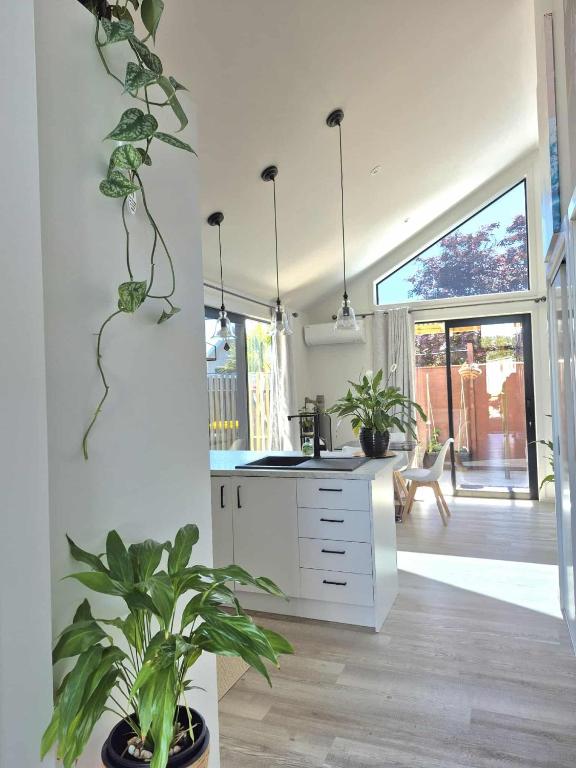 a kitchen with potted plants on the wall at Amie's Charming Villa in Tauranga