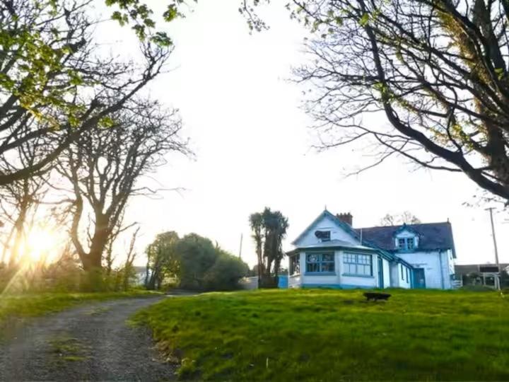 een blauw huis op een grasveld naast een weg bij Halyon Village in Greencastle