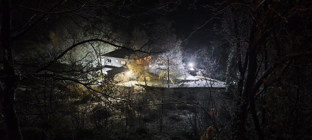 Loodusmaastik puhkemaja lähedal