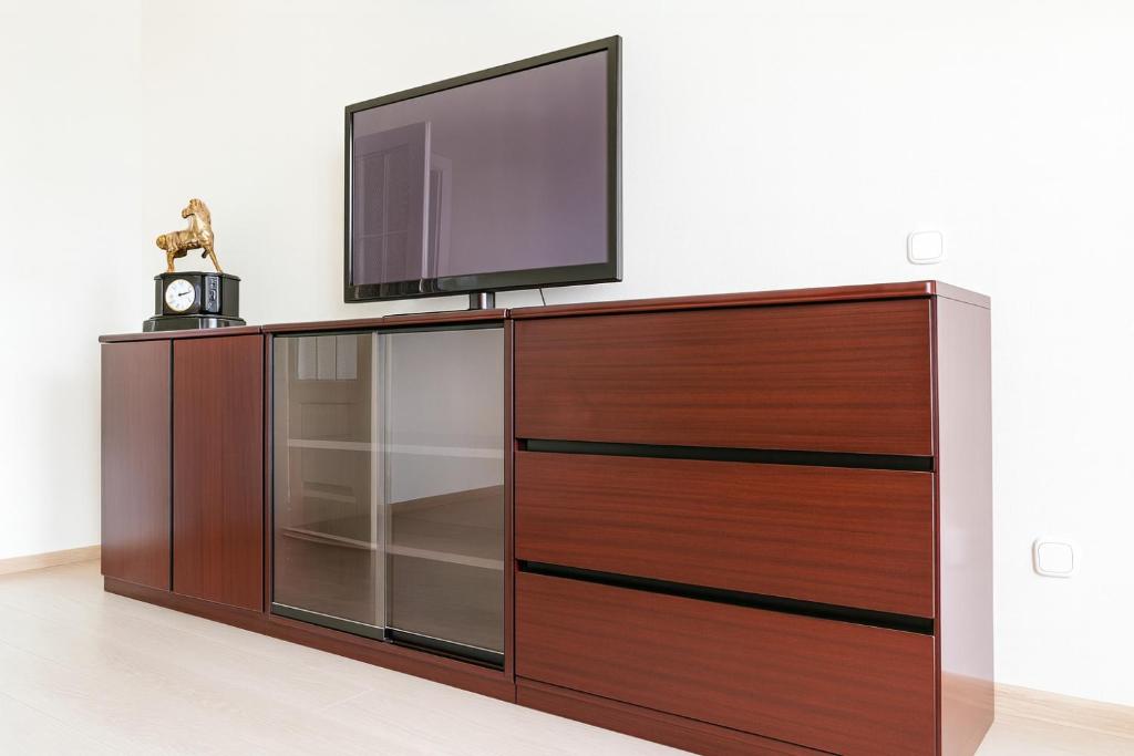 Large apartment in the center photo 5
