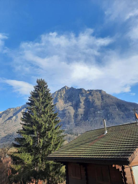 une maison avec un arbre devant une montagne dans l'établissement Chalet mayou, à Châtillon-sur-Cluses