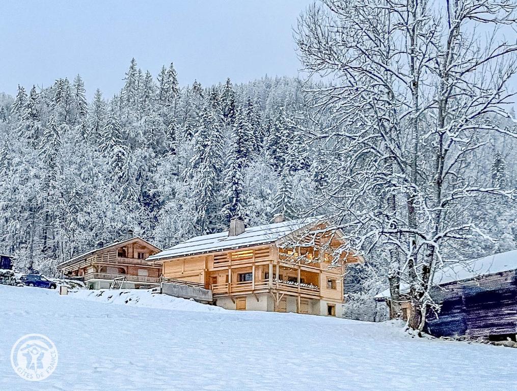 una cabaña de madera en la nieve con árboles en Appartement 6 chambres séjour ski, en Le Grand-Bornand
