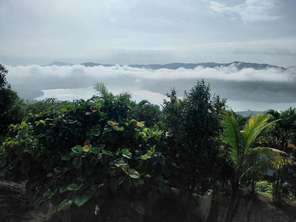 a view of a forest with clouds in the background at 3BHKVilla Panshet in Lavasa