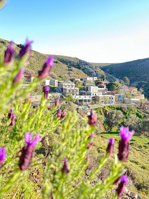 Φυσικό τοπίο κοντά σε αυτό το bed & breakfast