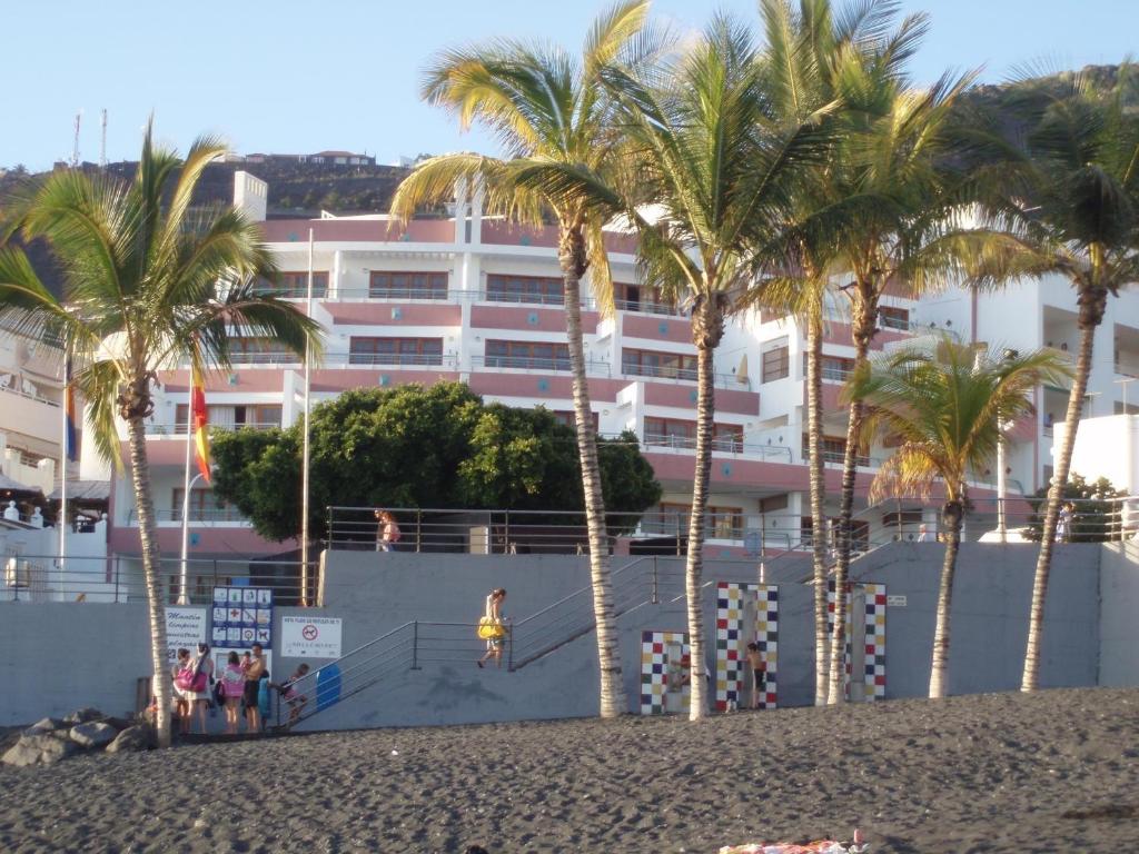 un grupo de palmeras frente a un edificio en Playa Delphin 304, en Puerto Naos