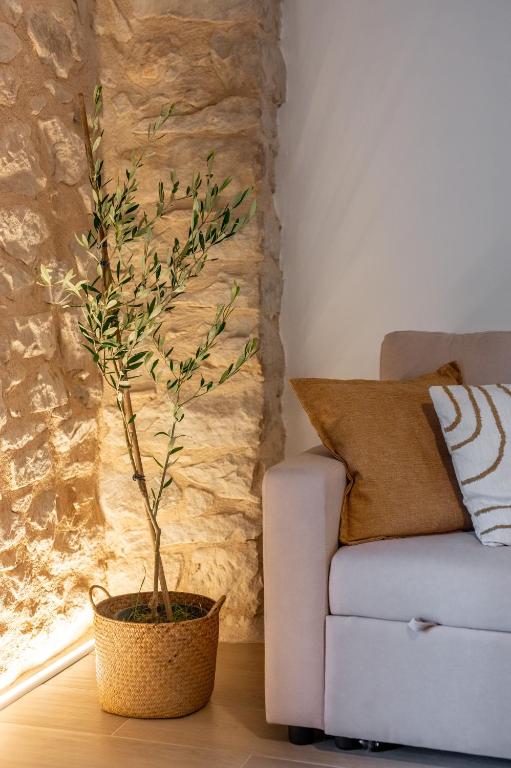 a small tree in a pot next to a couch at Plaza Matarraña in Fuentespalda