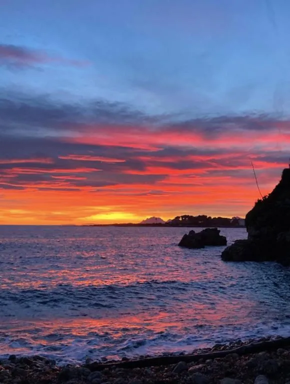 T2 L'orangeraie du Cap d'Antibes