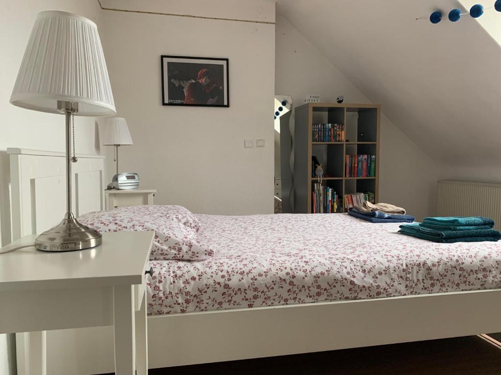 Postel nebo postele na pokoji v ubytování Appartement dans charmante maison près de Sarrebruck