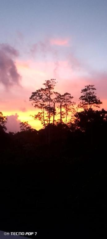 a sunset with trees in front of a field at Villa Tharu in Hikkaduwa
