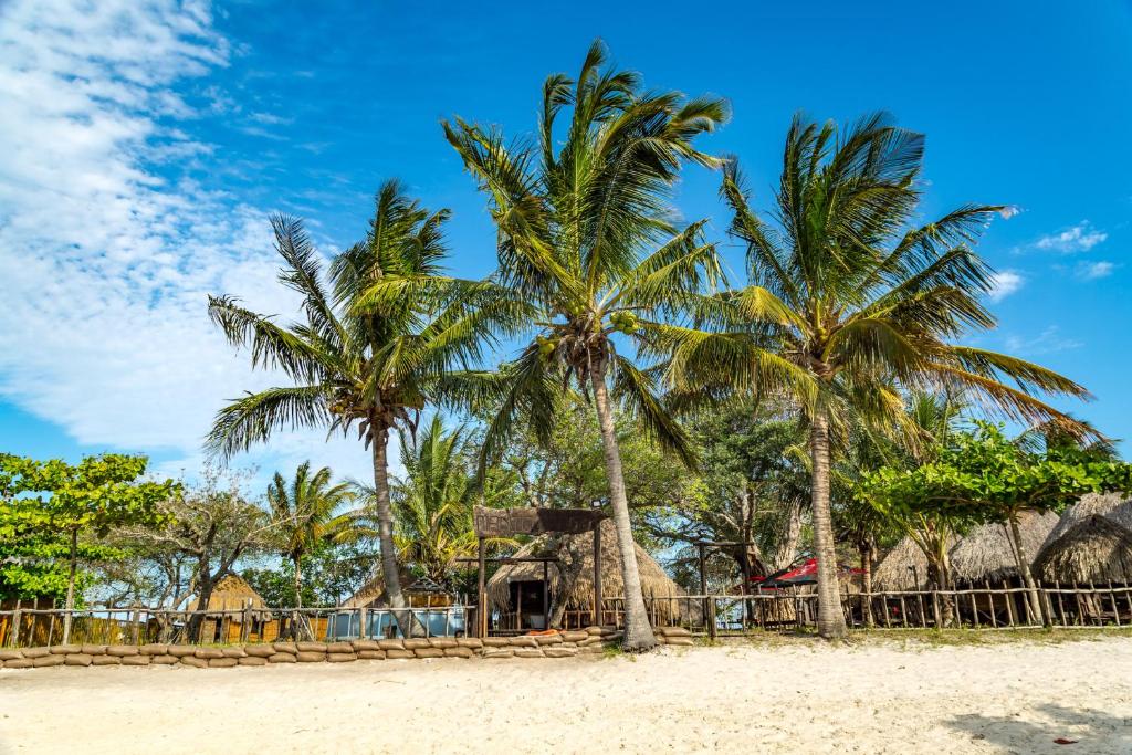 Příroda nedaleko kempu