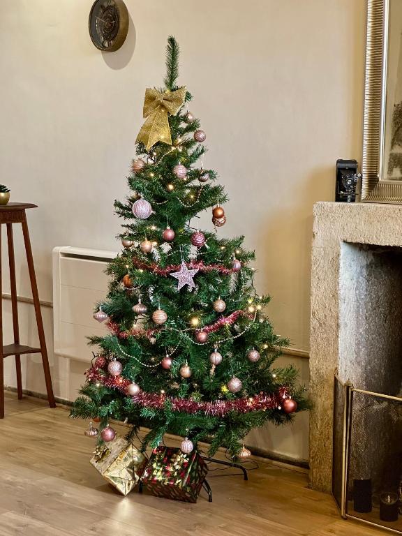 Aux Portes du Mont Anis - 15