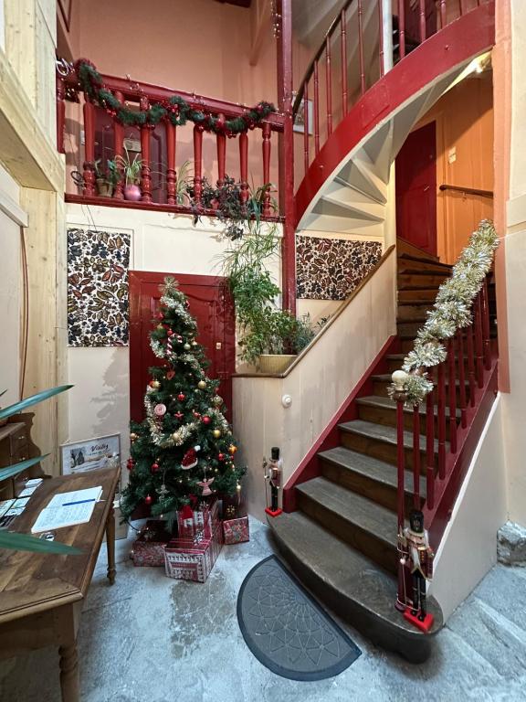 Aux Portes du Mont Anis - 19