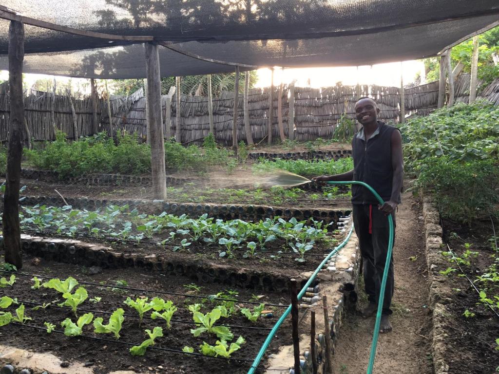 Banana Shamba Estate - Apartment With Garden View