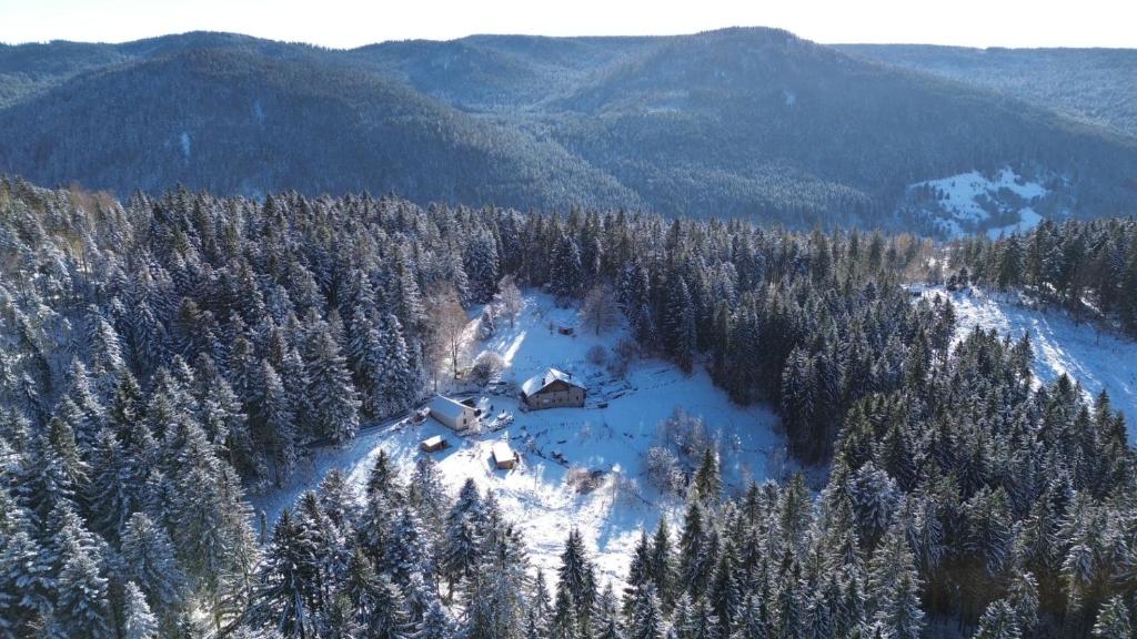 Příroda nedaleko apartmánu