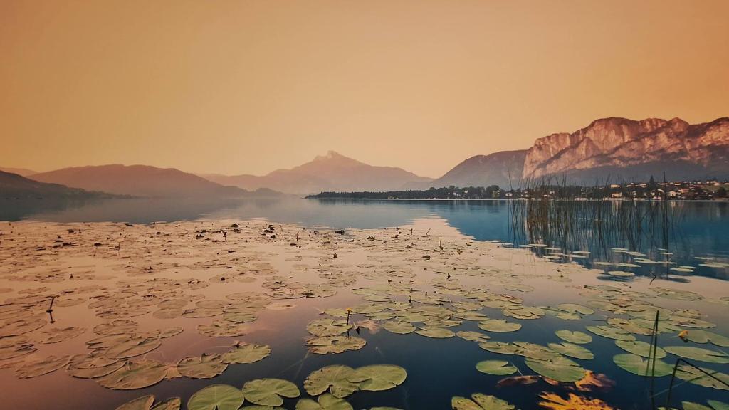 Peisaj natural din apropierea acestei case de vacanță