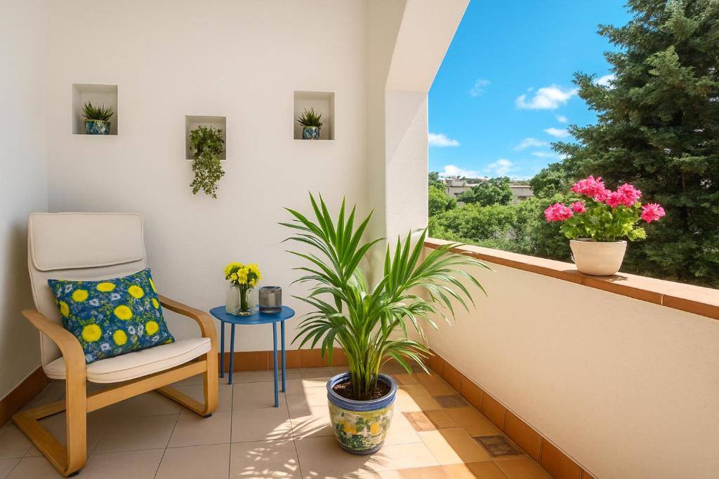 d'un balcon avec une chaise, une plante et une fenêtre. dans l'établissement "Stella Home " Perfetto per le tue vacanze in Sicilia sul Golfo di Castellammare ! Relax a pochi mt dal mare per Amici e Famiglie, à Alcamo Marina