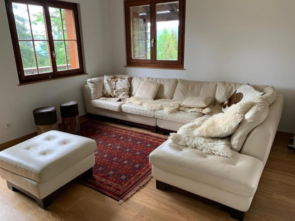 Arni AlpCrans-Montana Chalet dans la nature ski in ski out的客厅配有2张白色沙发和地毯。