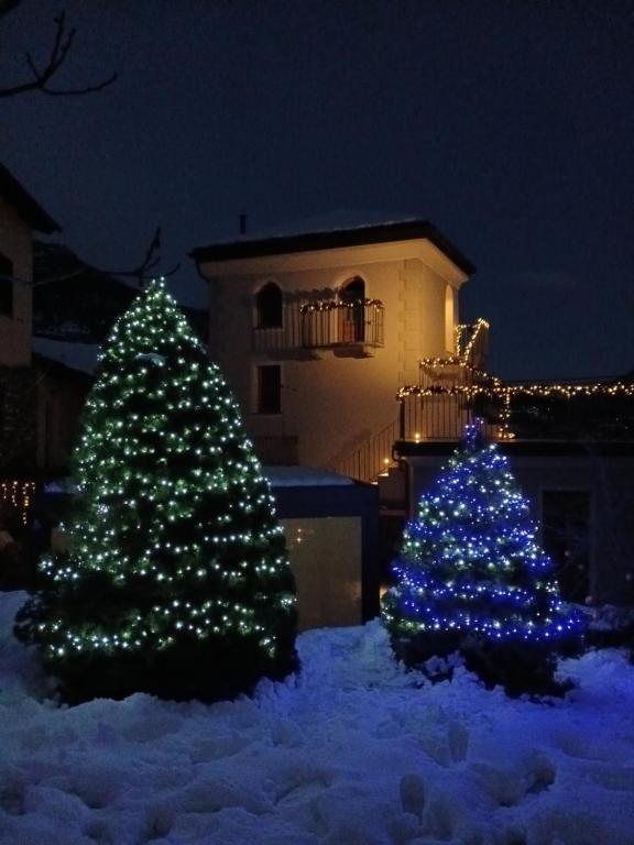 La Tornalla في أَويستا: شجرتا عيد الميلاد كانتا مغطيتان بالثلج أمام المبنى