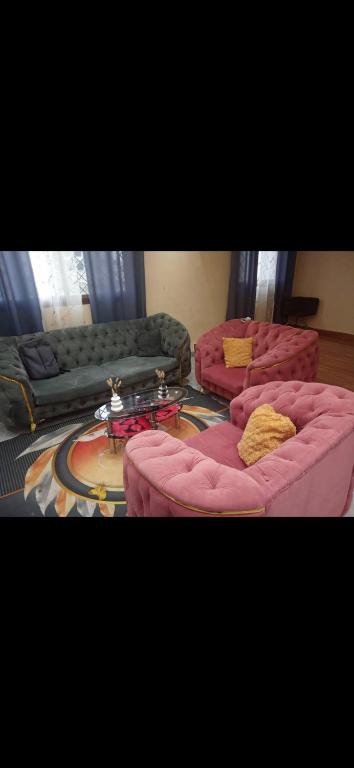 Villa de luxe LE HAVRE DE JOIE ET DE PAIX 300m2 de superficie Wifi illimité forage et grande cour pour garer plusieurs voitures ou organisation celebrations في دوالا: غرفة معيشة مع كنبتين ورديتين وطاولة