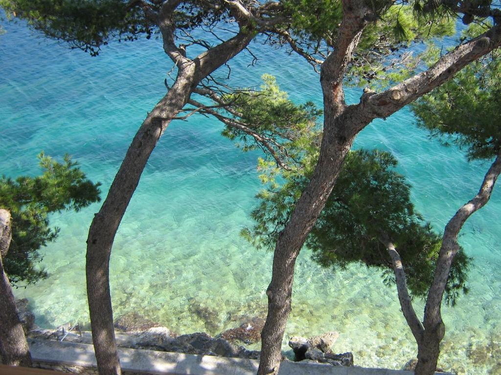 un dipinto di un corpo idrico con alberi di Apartments & Room Nina a Korčula