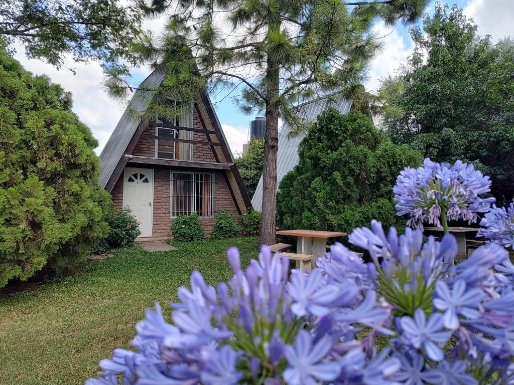 En have udenfor Cabañas Alpinas San Pedro