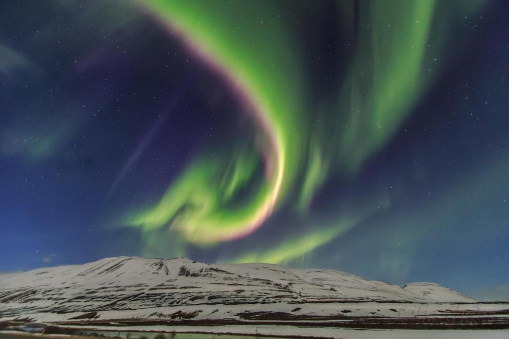 塞尔福斯Pálína Cottage studio的天空中天上的极光,在雪覆盖的山中