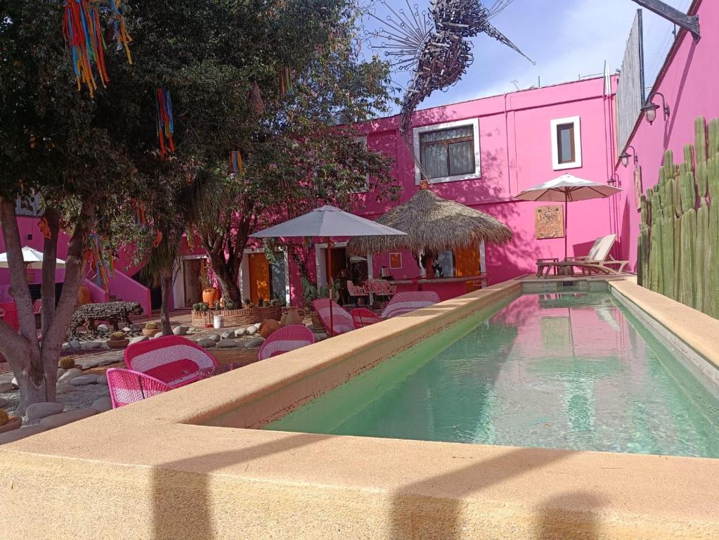 a swimming pool in front of a pink building at Casa Rosamate in Oaxaca City