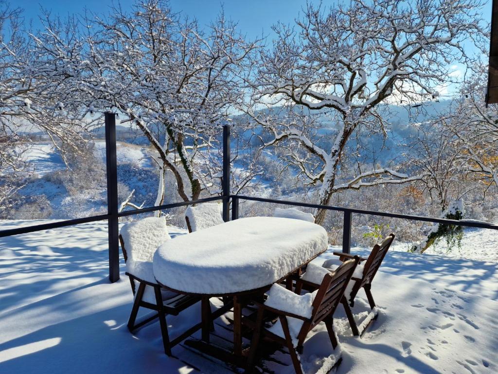 Hižica v plavem trnacu 1 v zimě