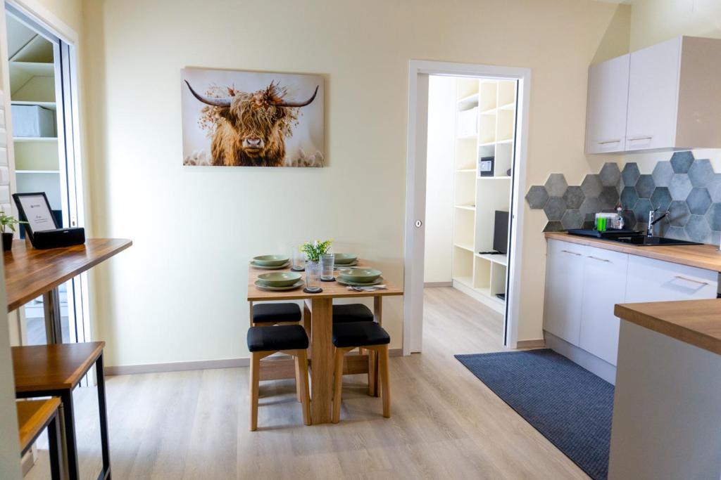 Kuchyň nebo kuchyňský kout v ubytování Modernes Apartment für Monteure, Projektteams und Durchreisende