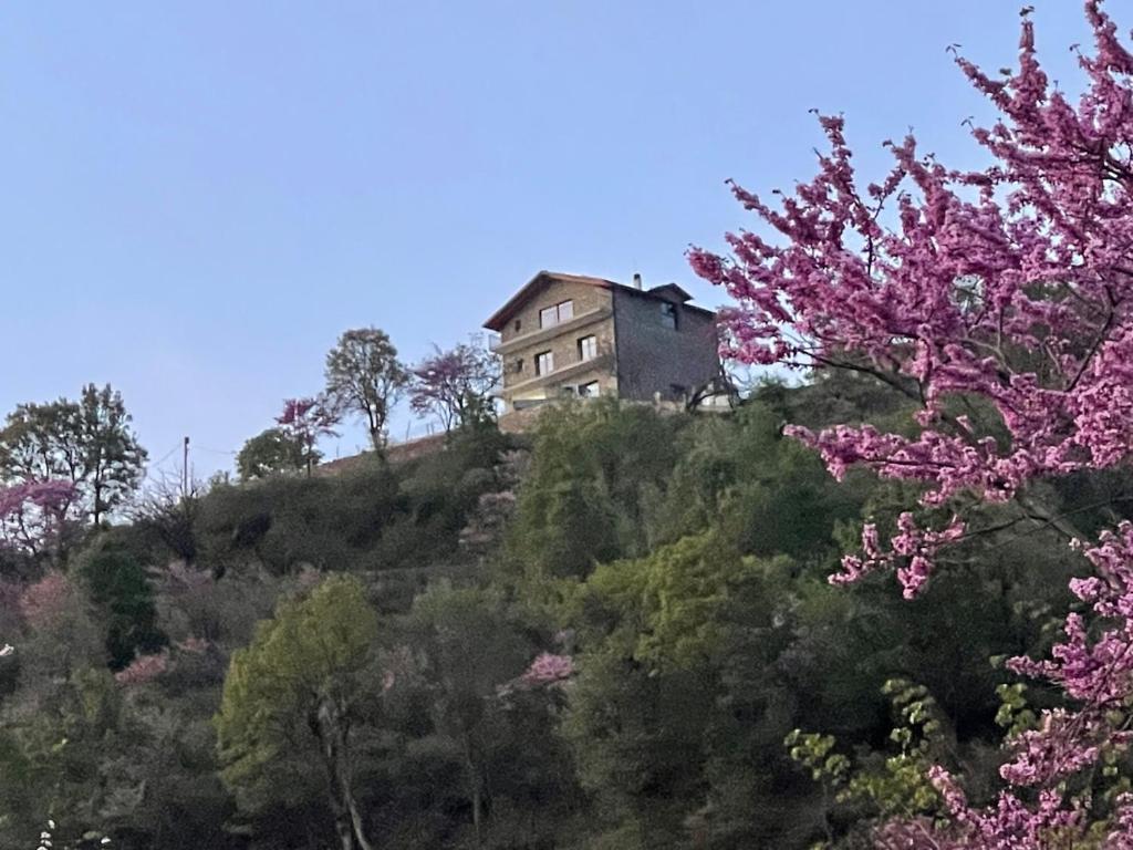 Φυσικό τοπίο κοντά σε αυτή η βίλα