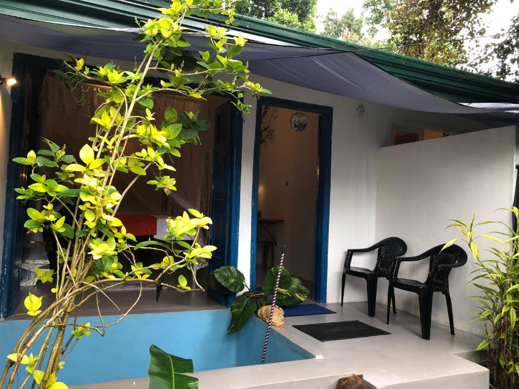 La pinchi " Pinchi's Bed " - 12