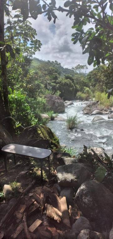 RivasにあるRustic two bedroom house right by the Chirripo riverの川前のベンチ