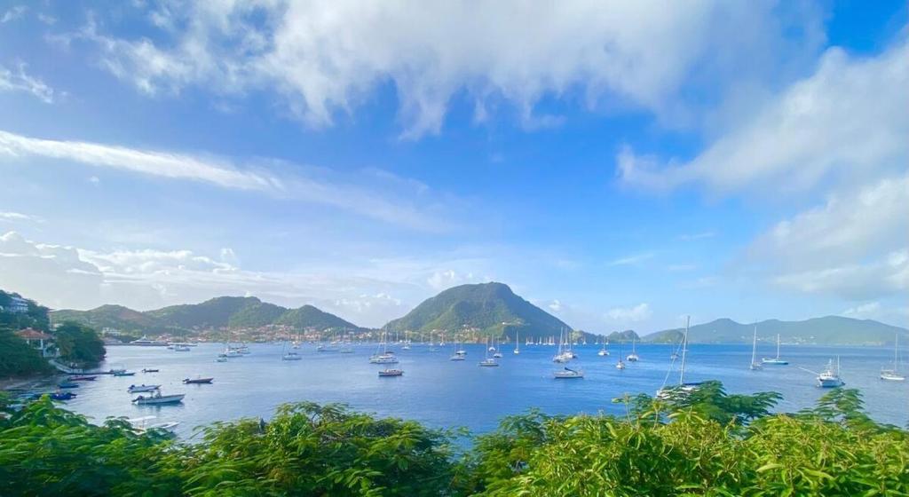 Naturlandskabet i nærheden af lejligheden